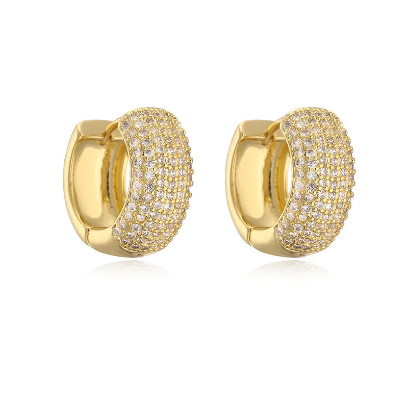 Micropave Hoops Earrings