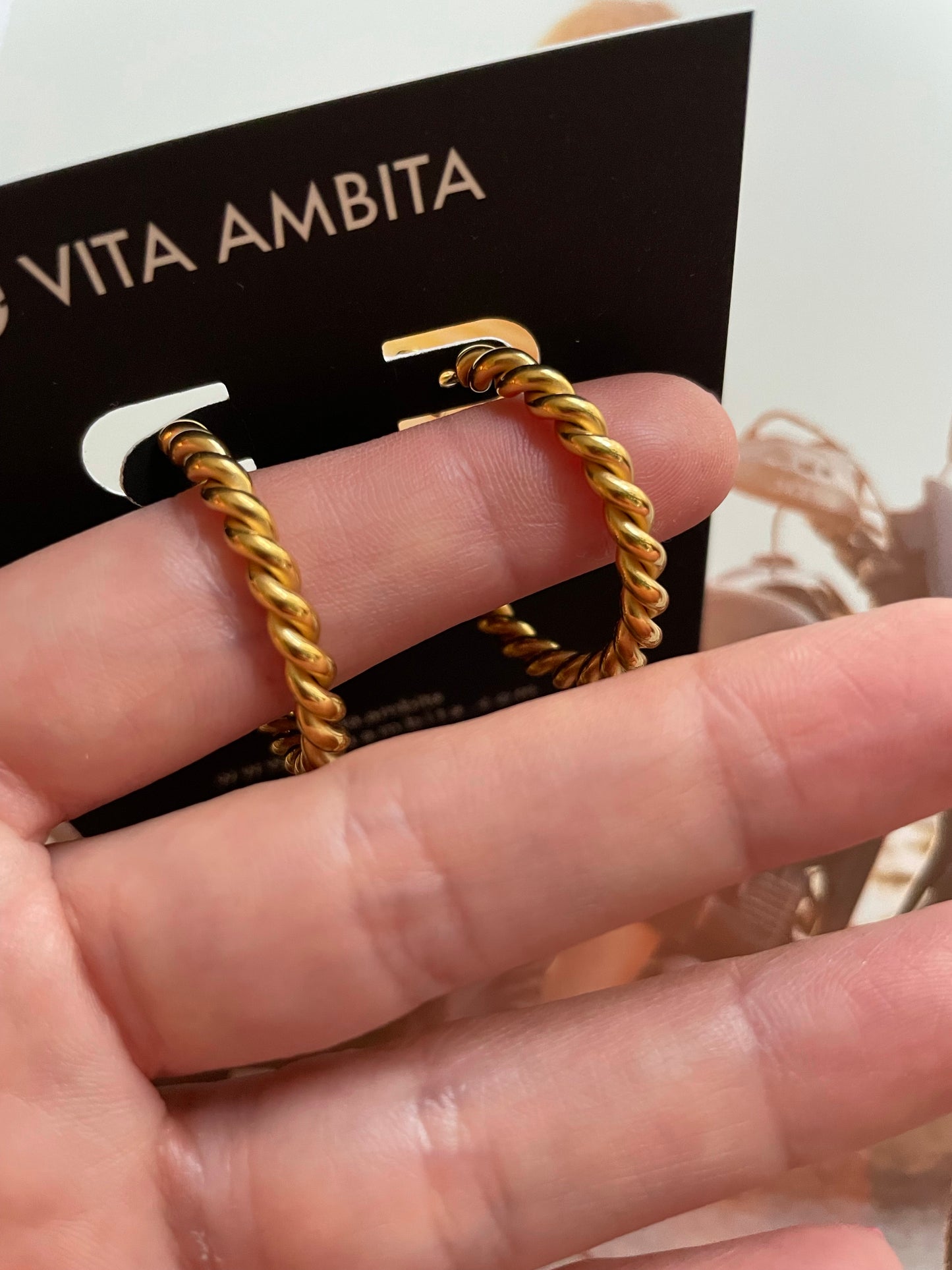 Stainless steel twisted hoops earrings