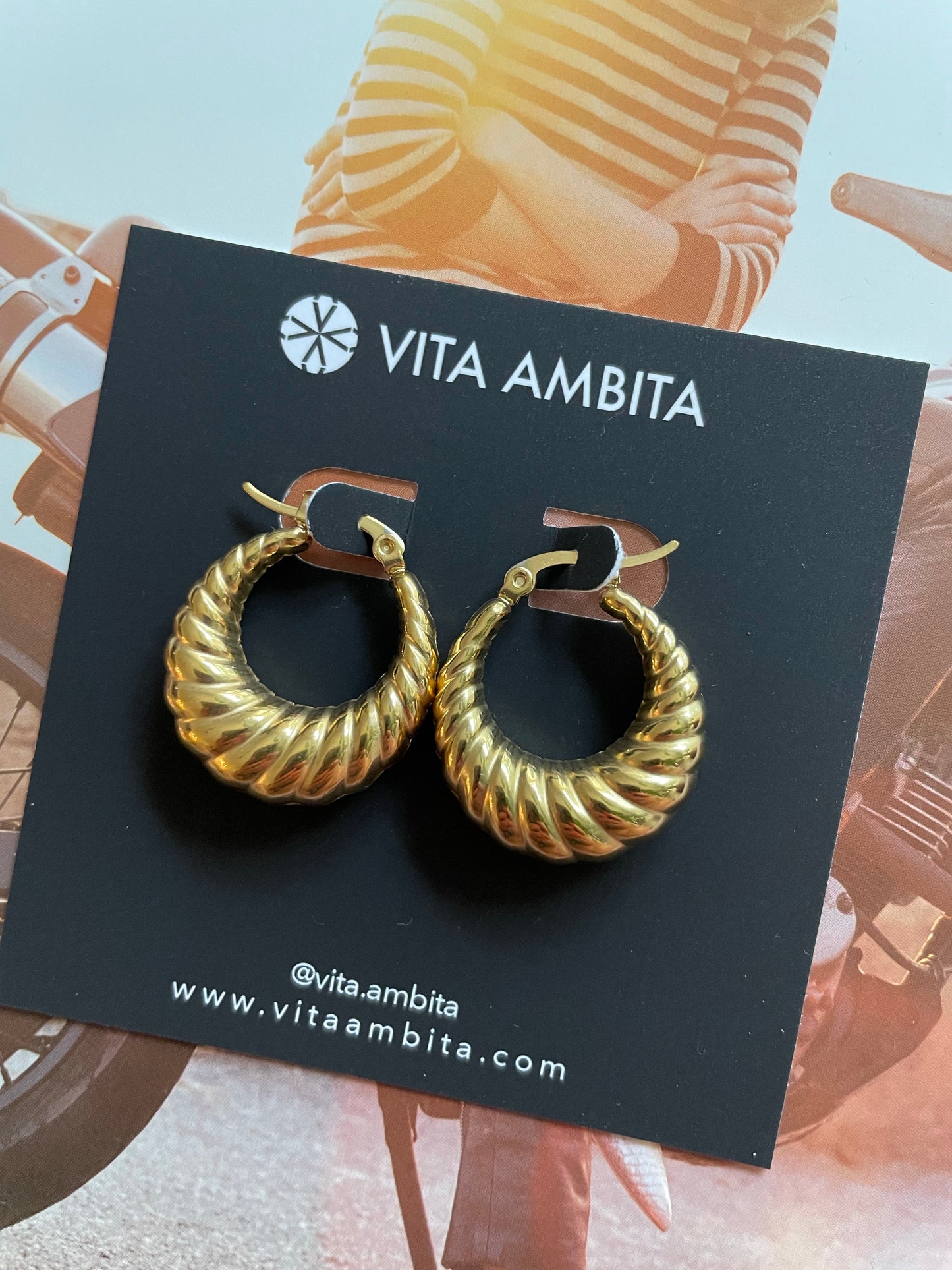 Stainless steel twisted hoops earrings