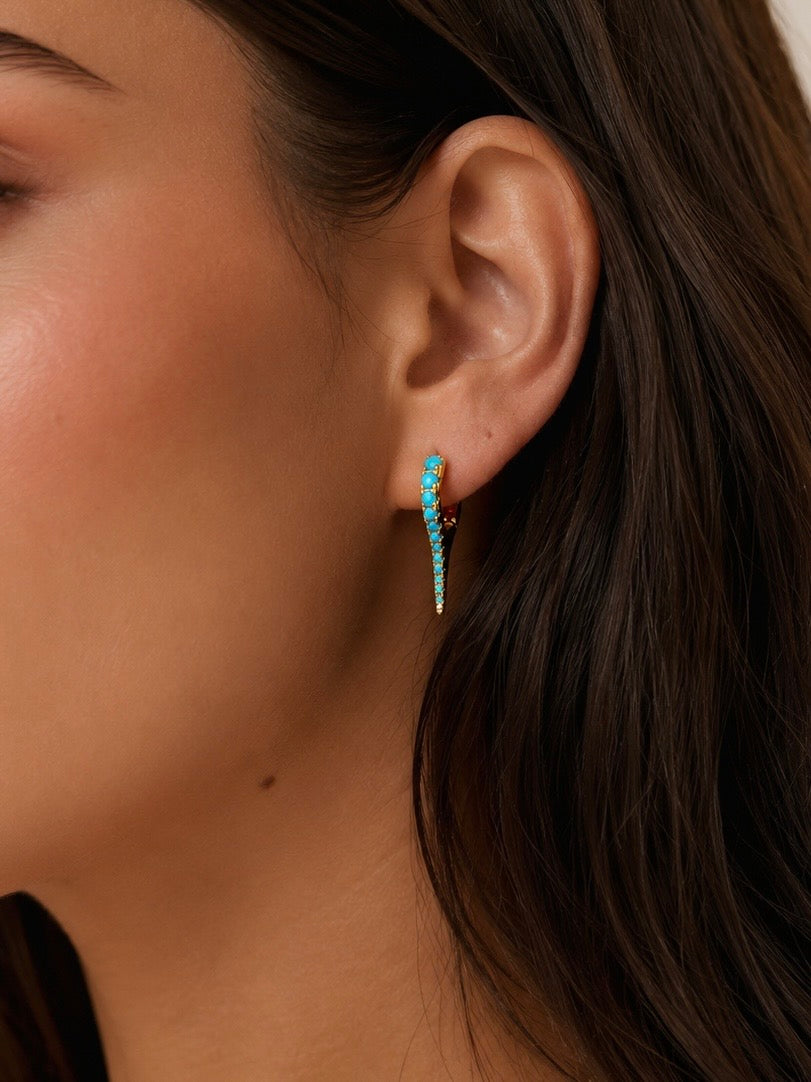 Spike Hugged Earrings