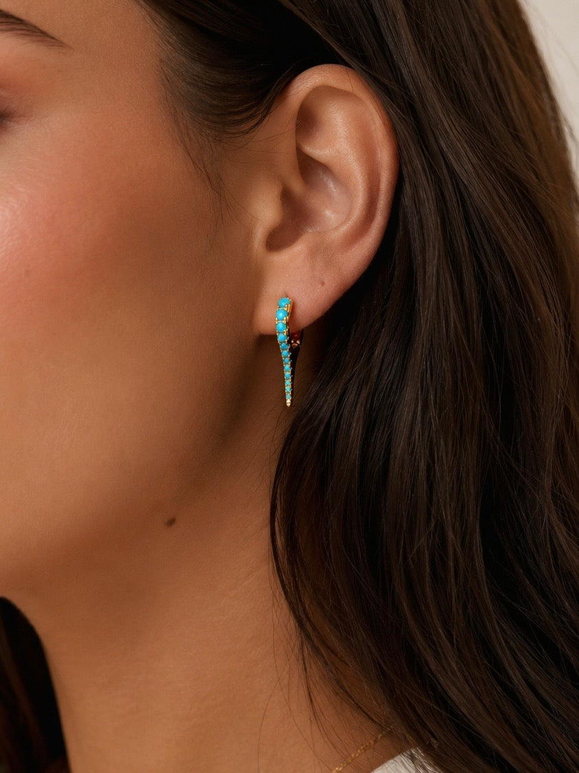 Spike Hugged Earrings