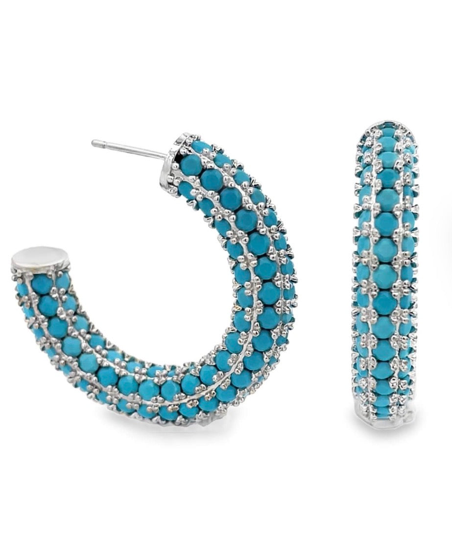 Plenty Hoop Earrings
