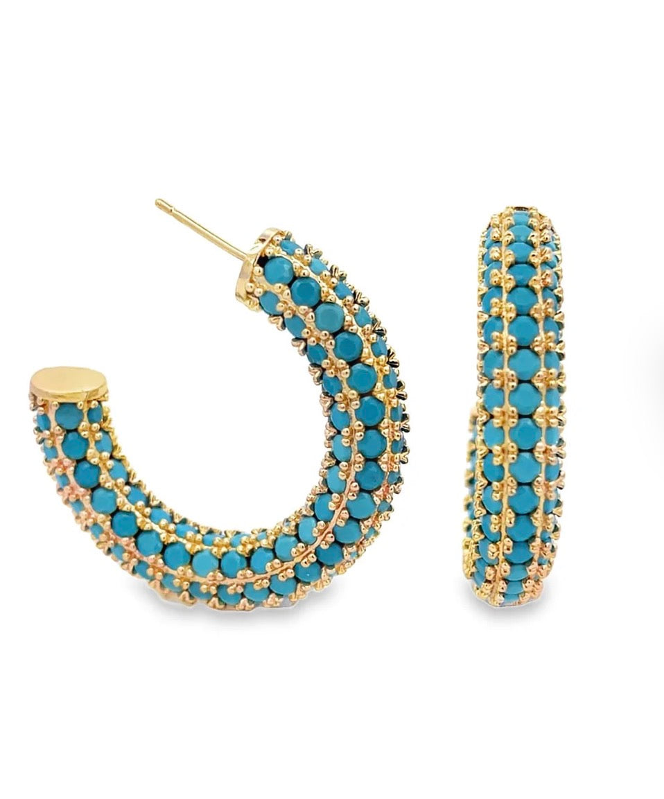 Plenty Hoop Earrings