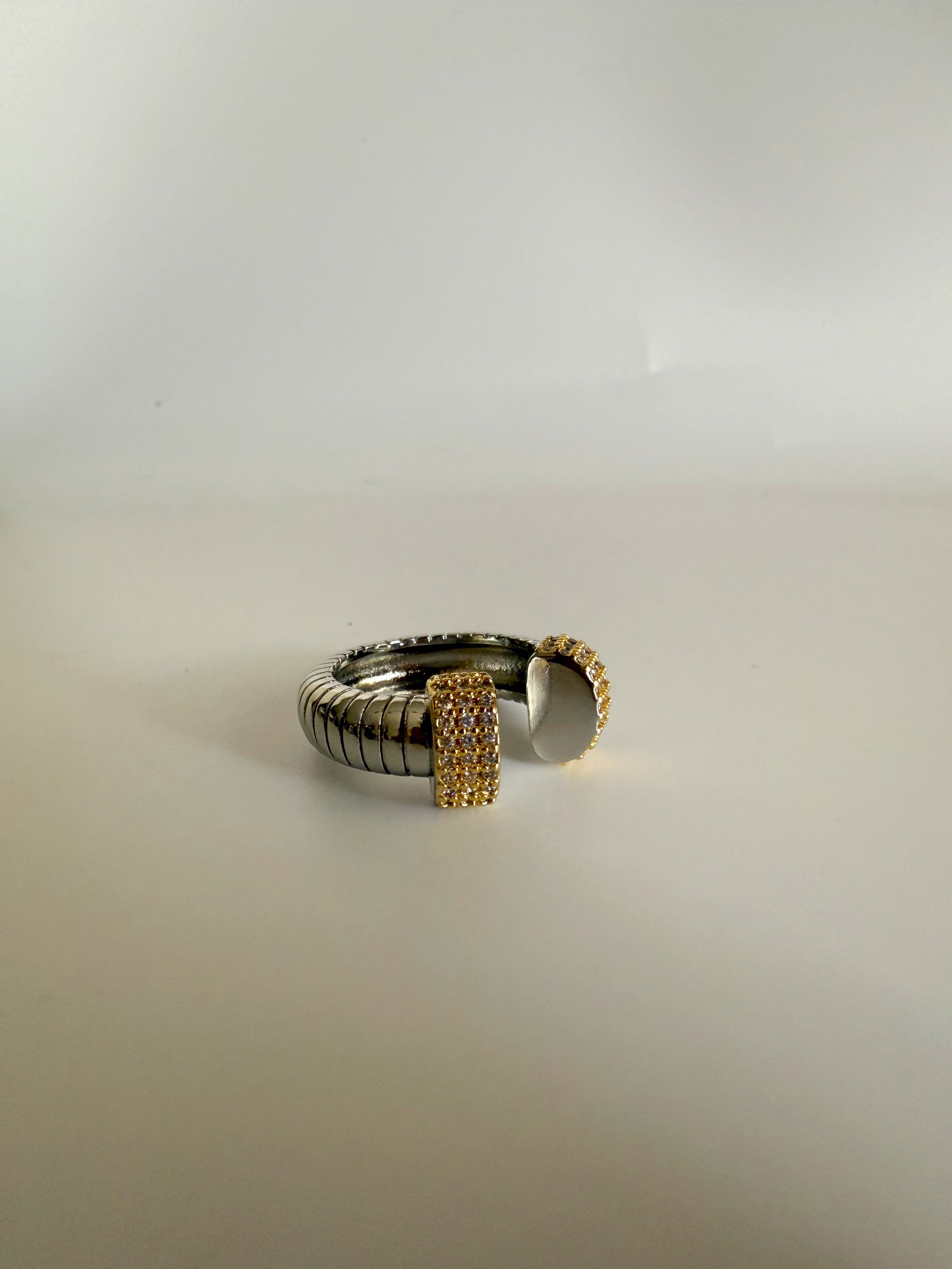 Charlotte Rings – Vita Ambita