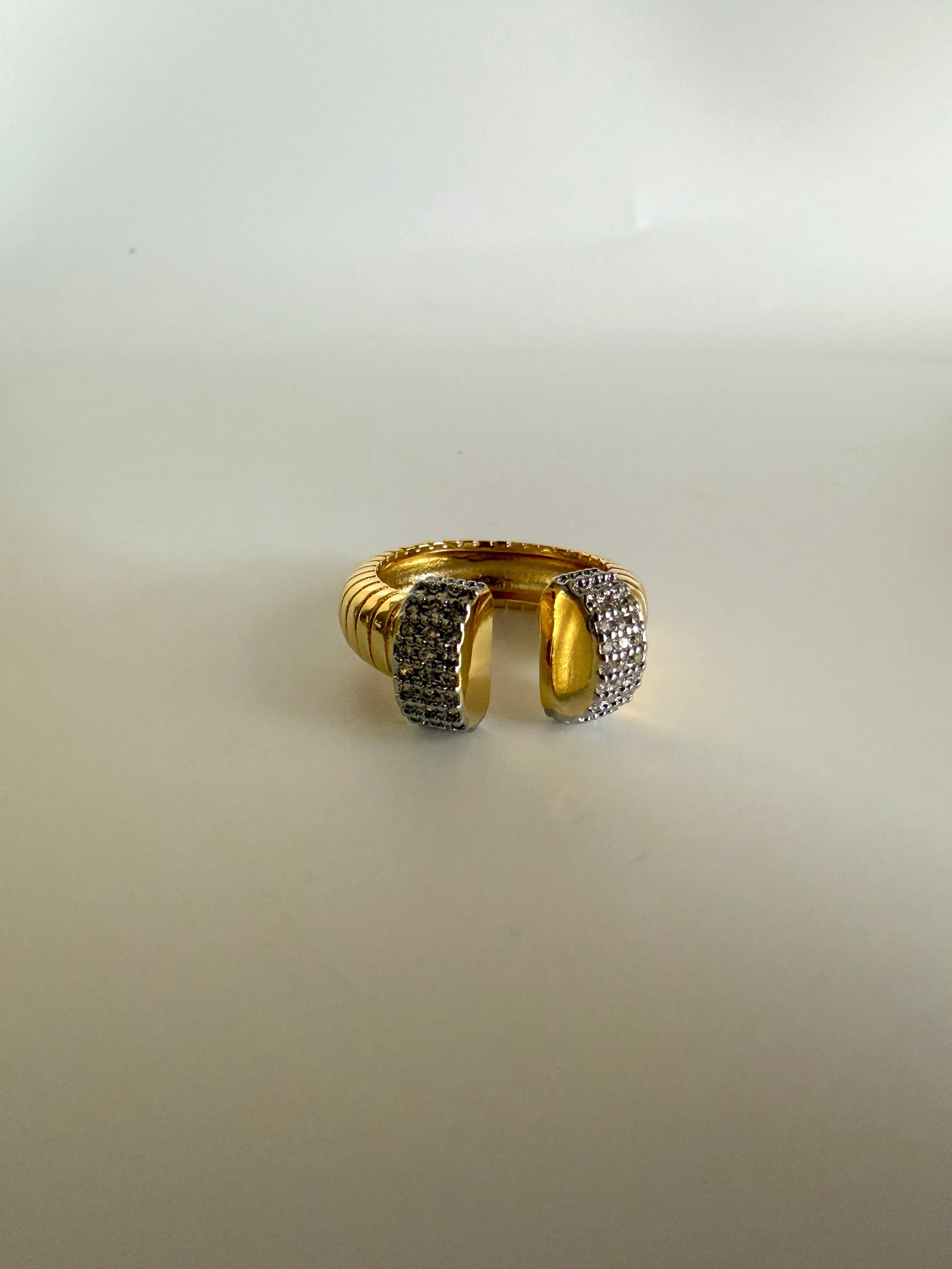 Charlotte Rings – Vita Ambita