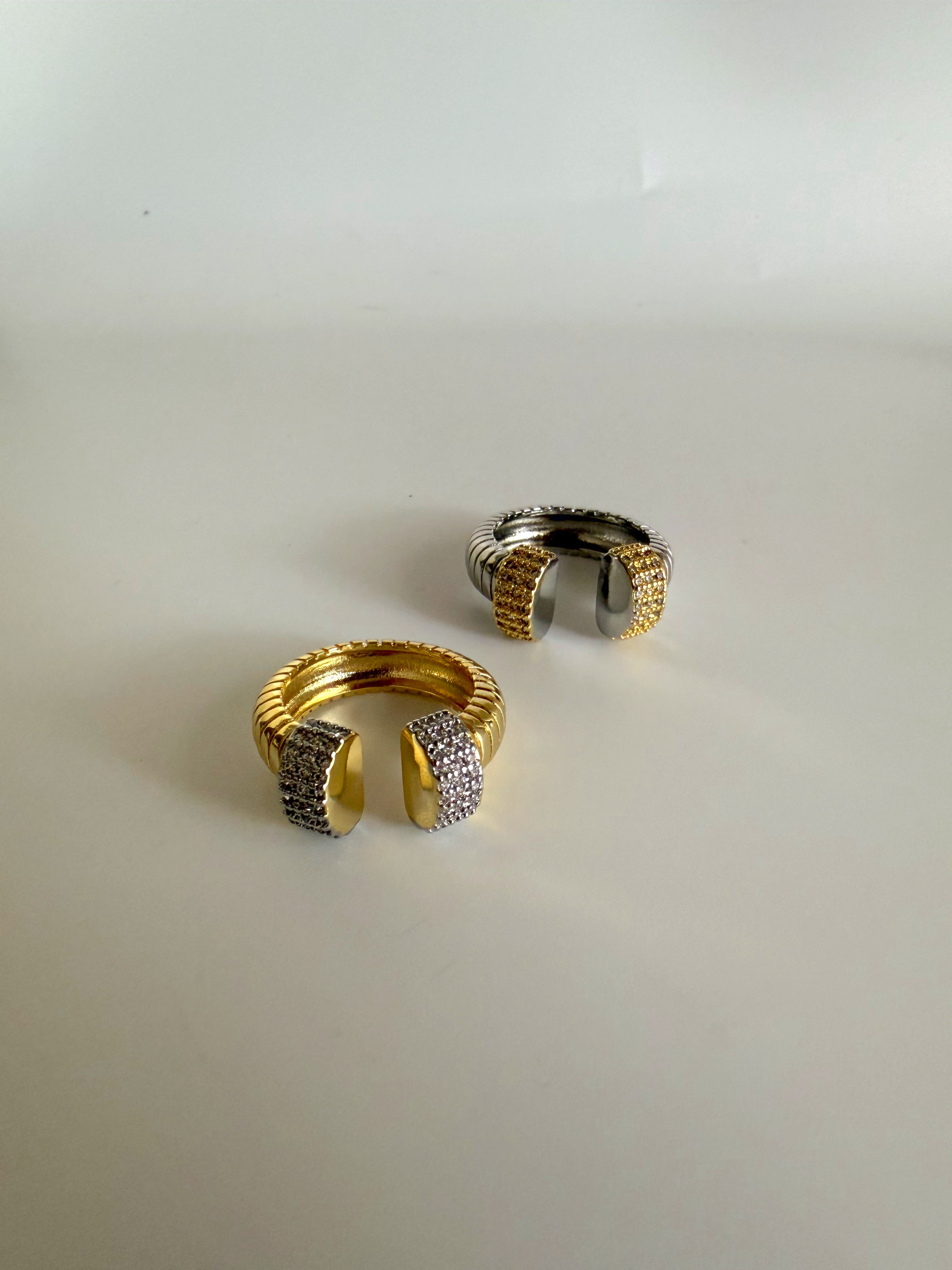 Charlotte Rings – Vita Ambita