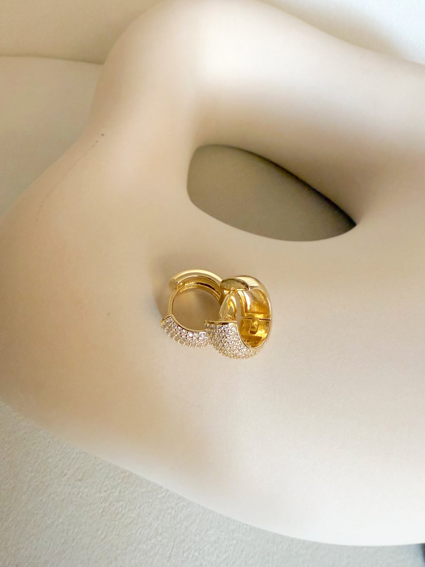 Micropave Hoops Earrings