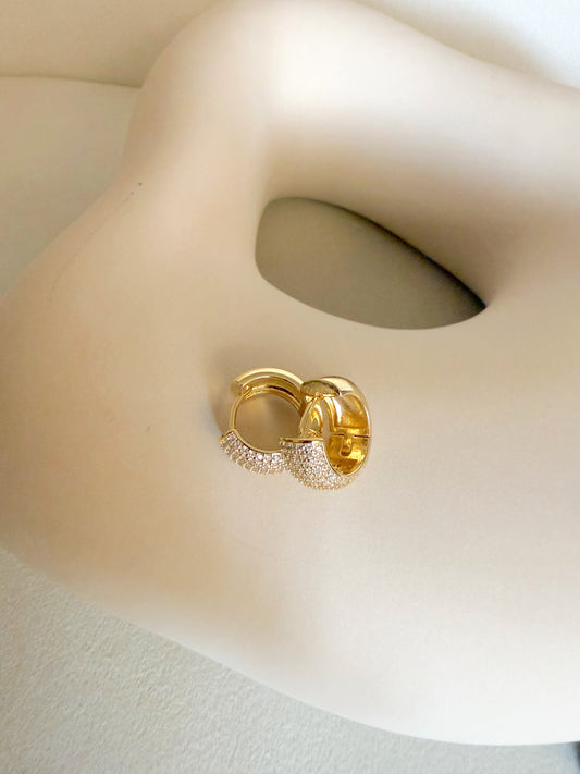 Micropave Hoops Earrings