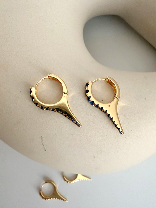 Spike Hugged Earrings