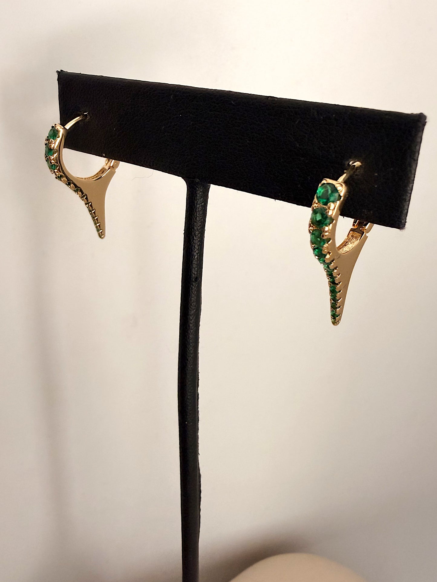 Spike Hugged Earrings